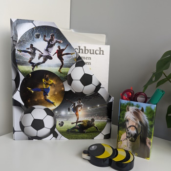 Anwendungsbild Stifteköcher Pferde und Stehsammler Fußball