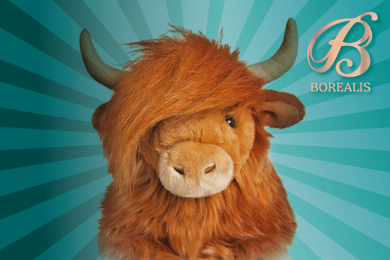 Blauer Strahlenhintergrund mit Highland Cow und Aurora Logo