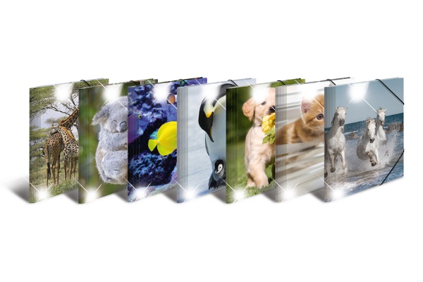 HERMA Sammelmappen Glossy