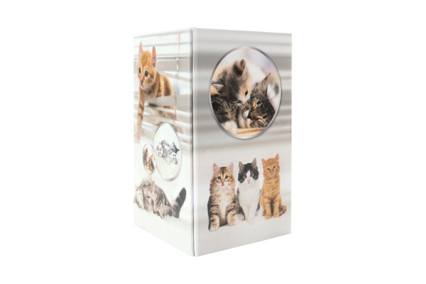 Abbildung Stifteköcher Katzen Motiv