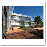 Moderne Glasarchitektur mit Holzterrasse und bepflanztem Garten im Vordergrund, unter klarem blauen Himmel.