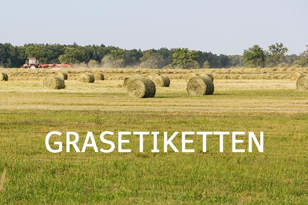 Grasetiketten - Wiese mit Heuballen