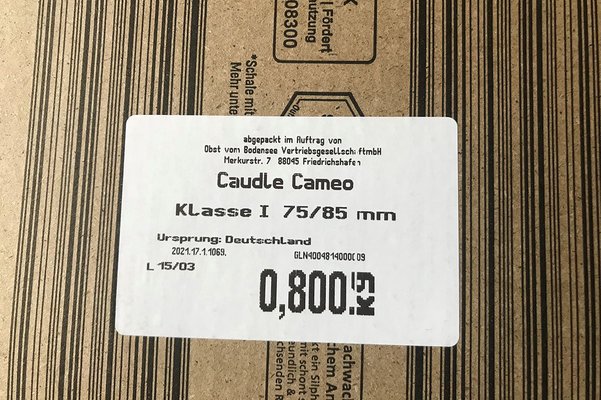 Apfelverpackung aus Silphie-Material mit Etikett