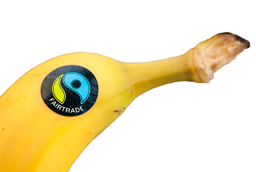 Eine Banane mit einem Fairtrade-Aufkleber, der das Fairtrade-Logo zeigt.