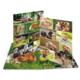 Ein aufgeschlagenes Buch mit Bildern von verschiedenen kleinen Tieren, darunter Eichhörnchen, Igel und Meerschweinchen, in natürlicher Umgebung.