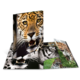Ein aufgeschlagenes Buch mit verschiedenen Bildern von Leoparden, die ihre charakteristischen Merkmale und Posen zeigen.