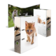 Kunststoffordner mit Bildern von Katzen, eine mit einem Kätzchen, das läuft, und eine andere mit einer Katze im Freien.