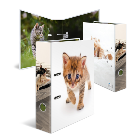 Kunststoffordner mit Bildern von Katzen, eine mit einem Kätzchen, das läuft, und eine andere mit einer Katze im Freien.