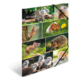 Eine Collage von kleinen Tieren, darunter Kaninchen, Igel, Mäuse und Otter, die in einer natürlichen Umgebung abgebildet sind.