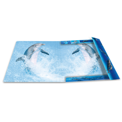 Zwei Delfine springen aus dem Wasser in einem blauen Hintergrund, mit einem offenen Buch, das weitere Delfinbilder zeigt.