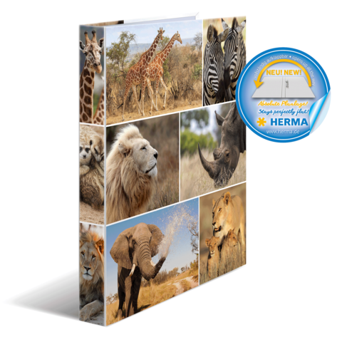 Eine Collage mit verschiedenen Tieren: Giraffen, Zebras, Löwen, ein Nashorn, ein Elefant und Löwenrudel in einer savannenartigen Umgebung.