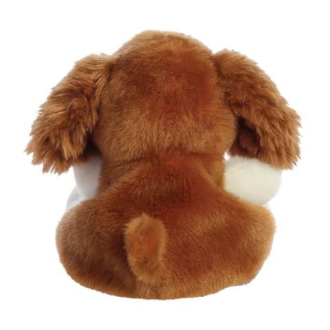 Ein plüschiger Hund von hinten, mit braunem und weißem Fell, kurzen Ohren und einem kleinen Schwanz.