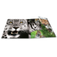 Ein aufgeschlagenes Buch mit Bildern von verschiedenen Großkatzen, darunter ein Schneeleopard, ein Tiger und ein Leopard.