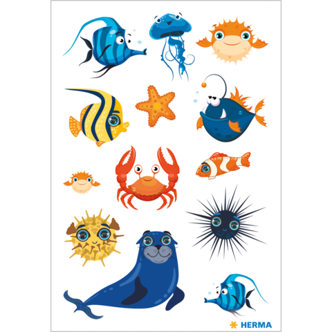 Bunte Meeresbewohner, darunter Fische, eine Qualle, ein Seestern, ein Krebs, ein Seehund und ein Seeigel, in cartoonhaftem Stil.