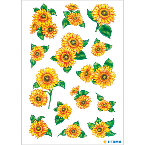 Bunte Sonnenblumen in verschiedenen Größen und Anordnungen, einige mit Blättern, auf weißem Hintergrund.