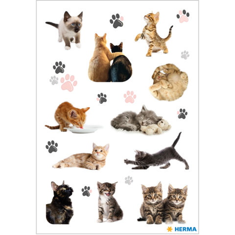 Eine Collage von verschiedenen Katzen, darunter Kätzchen, spielende Katzen und schlafende Katzen, umgeben von Pfotenabdrücken.