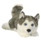 Plüsch-Husky mit grauem und weißem Fell, großen blauen Augen und aufmerksamer Haltung, liegt auf dem Boden.