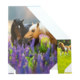 Zwei Pferde stehen in einem Feld mit lila Blumen. Eines der Pferde hat eine helle Mähne, das andere ist dunkel.