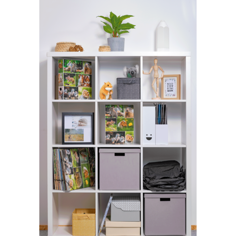 Regal mit verschiedenen Fächern, gefüllt mit Fotos, Aufbewahrungsboxen, einem Pflanzengefäß und Dekorationsobjekten.