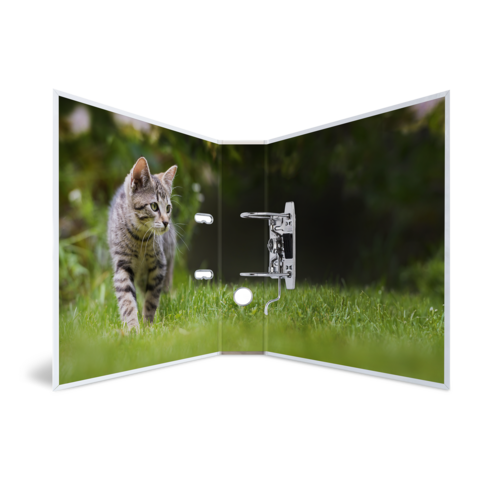 Eine graue Katze läuft über grünes Gras, während sie in einer offenen Tür steht.