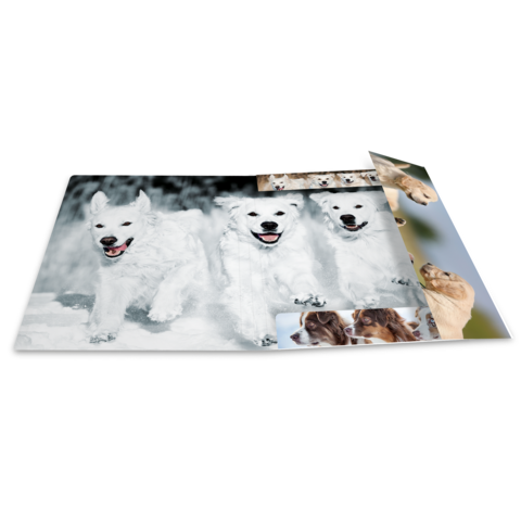 Drei weiße Hunde laufen fröhlich im Schnee, umgeben von weiteren Hundebildern auf einer Matte.