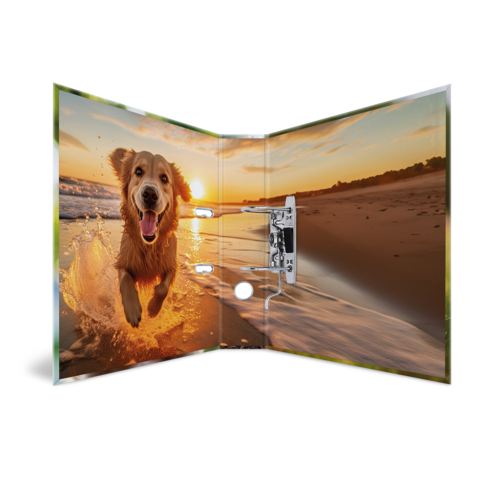 Ein fröhlicher Hund springt ins Wasser, umgeben von einer malerischen Küstenlandschaft bei Sonnenuntergang.