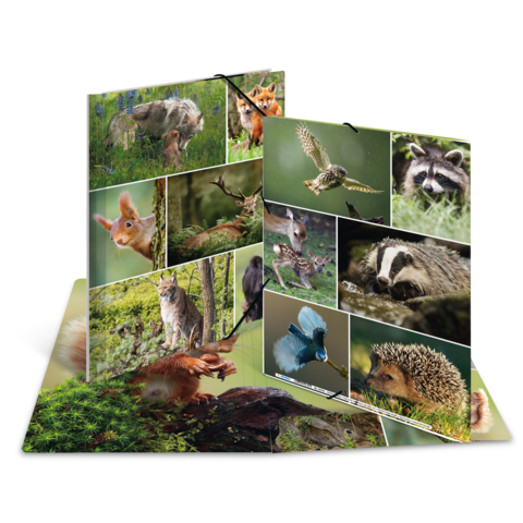 Eine aufgeschlagene Broschüre mit verschiedenen Bildern von Wildtieren, darunter ein Fuchs, ein Eichhörnchen, ein Igel und ein Uhu.