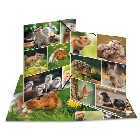 Eine Pop-up-Karte mit verschiedenen Bildern von kleinen Tieren wie Kaninchen, Igeln und Meerschweinchen in lebendigen Farben.