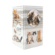 Eine Box mit Bildern von verschiedenen Katzen, darunter spielende und ruhende Kätzchen in verschiedenen Posen und Farben.