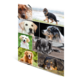Eine Collage von Hunden in verschiedenen Posen und Rassen, darunter Labrador, Schäferhund und Mischlinge, auf unterschiedlichen Hintergründen.