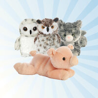 Blauer Strahlenhintergrund mit Schwein und Eulen Kuscheltieren von Aurora