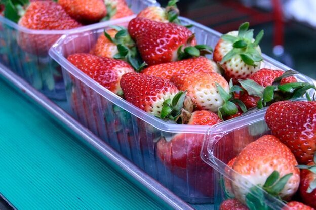 Erdbeeren in transparenten Behältern auf einem Förderband in einer Produktionsumgebung.