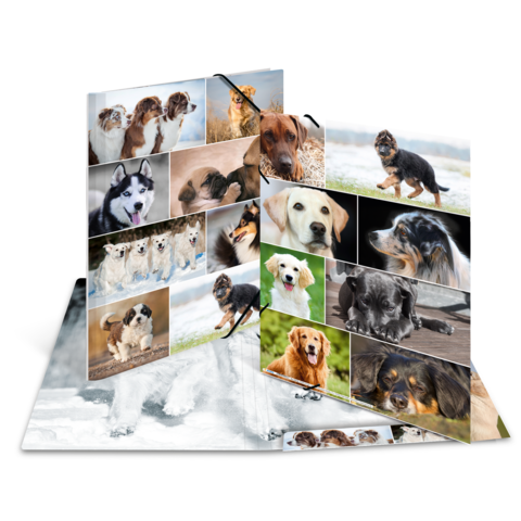 Ein aufgeschlagenes Fotobuch mit verschiedenen Hundefotos, darunter Welpen und verschiedene Rassen wie Labrador, Husky und Golden Retriever.