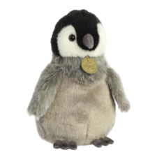 AURORA World