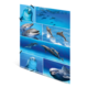 Mehrere Delfine in verschiedenen Posen im Wasser, darunter Sprünge und Nahaufnahmen von Gesichtern.