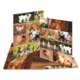 Ein aufgeschlagenes Fotobuch mit Bildern von verschiedenen Tieren, darunter Hunde, Hühner, Pferde, Schweine und Kühe.