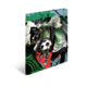 Zwei Fußballspieler in Aktion, einer dribbelt den Ball, während der andere bereit ist, zu schießen. Grafische Elemente und Zahlen im Hintergrund.