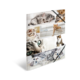 Eine Collage mit verschiedenen Katzen, die in unterschiedlichen Posen und Blickwinkeln abgebildet sind.