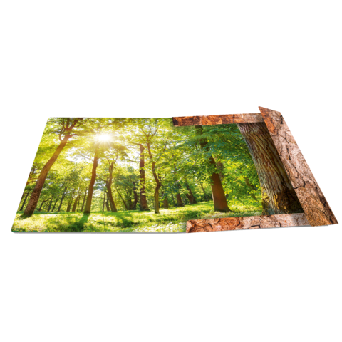 Ein offener Buchumschlag zeigt eine sonnendurchflutete Waldlandschaft mit grünen Bäumen und einem hellen Himmel.