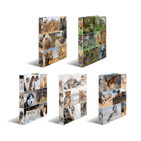 Eine Collage mit verschiedenen Tieren, darunter Löwen, Katzen, Hunde, Giraffen und Füchse, in mehreren Anordnungen.