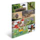 Eine Collage mit verschiedenen Vogelarten, darunter Störche, Eulen, Spechte und Papageien, in unterschiedlichen Posen und Umgebungen.