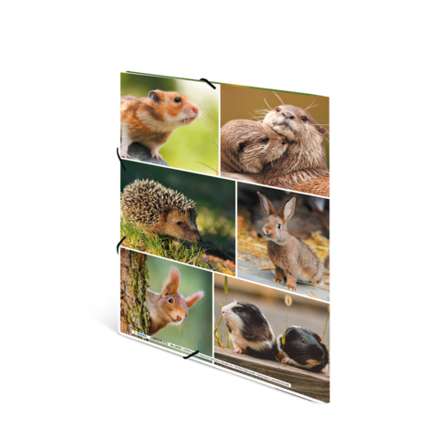 Eine Collage von Tieren, darunter ein Hamster, Igel, Kaninchen und Otter, die in verschiedenen Posen und Umgebungen dargestellt sind.