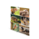 Eine Collage von Tieren, darunter ein Hamster, Igel, Kaninchen und Otter, die in verschiedenen Posen und Umgebungen dargestellt sind.
