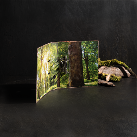 Ein aufgeschlagenes Buch mit Bildern eines Waldes, das einen Baum und Sonnenlicht zwischen den Blättern zeigt.