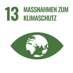 Symbol für Klimaschutz mit einer stilisierten Erde in einem Auge, begleitet von der Zahl 13 und dem Text „Maßnahmen zum Klimaschutz“.