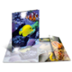 Bunte Fische schwimmen in einem Korallenriff, dargestellt in einem 3D-ähnlichen Pop-up-Buch mit verschiedenen Unterwasserbildern.