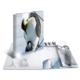 Ein aufgeschlagenes Buch mit Bildern von Pinguinen, darunter ein Pinguin mit seinem Küken auf Schnee.