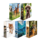 Ordner mit Tiermotiven: Pferde, ein Hund, eine Katze, Delfine und Tiger. Bunte Designs auf verschiedenen Ordnern.