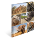 Eine Collage von Tieren in der Savanne, einschließlich Giraffen, Zebras, Löwen, einem Nashorn und einem Elefanten.