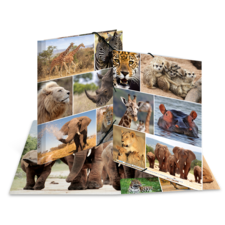 HERMA Sammelmappen